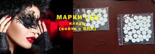 крисы Алзамай
