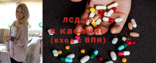 крисы Алзамай