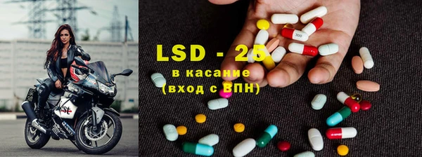 крисы Алзамай