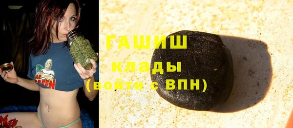 крисы Алзамай