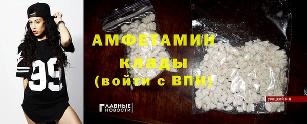 крисы Алзамай